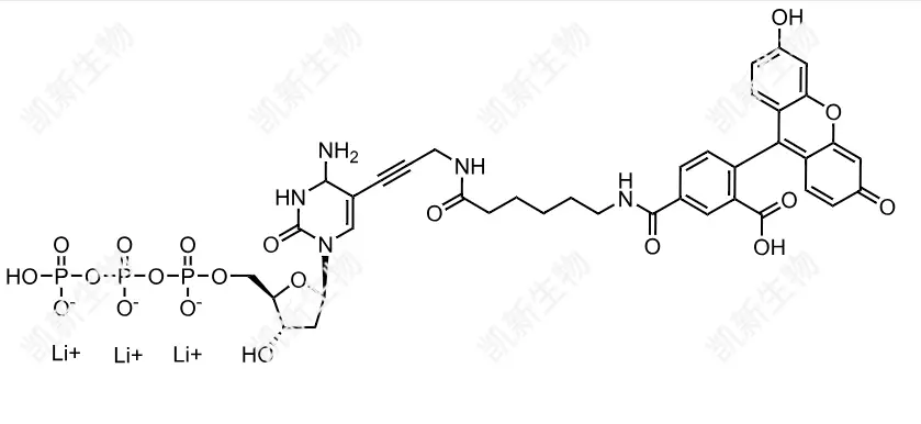 FAM-11-dCTP，熒光素標(biāo)記脫氧胞苷三磷酸：高效熒光標(biāo)記的脫氧胞苷三磷酸衍生物及其分子生物學(xué)應(yīng)用