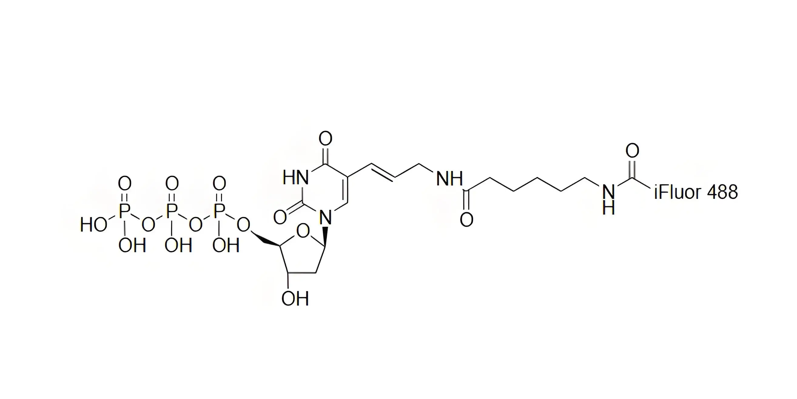 iFluor488-dUTP，iFluor488-脫氧尿苷三磷酸在PCR和逆轉(zhuǎn)錄中的表現(xiàn)